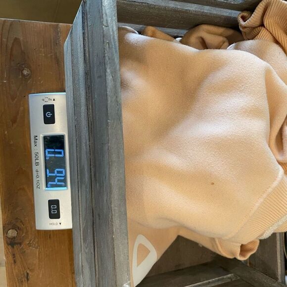 Champion Cropped Sweatshirt Peach Log Sleeve Size Medium - Picture 10 of 16